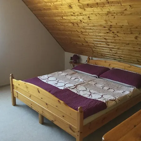 Gæstehus Cyrano Vendeghaz