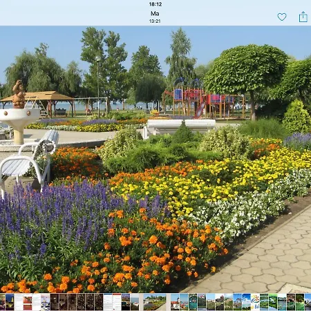 Cyrano Vendeghaz Vonyarcvashegy