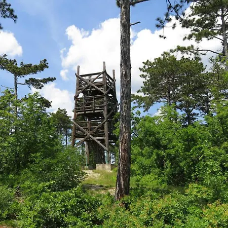 Cyrano Vendeghaz Gæstehus