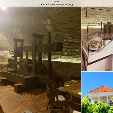 Cyrano Vendeghaz 3* Vonyarcvashegy