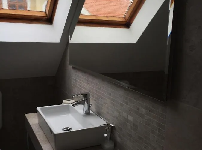 Cyrano Vendeghaz Vonyarcvashegy