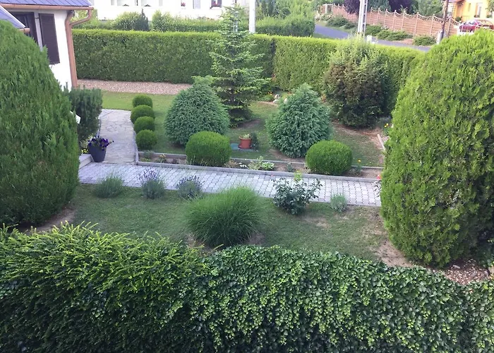 Cyrano 3*